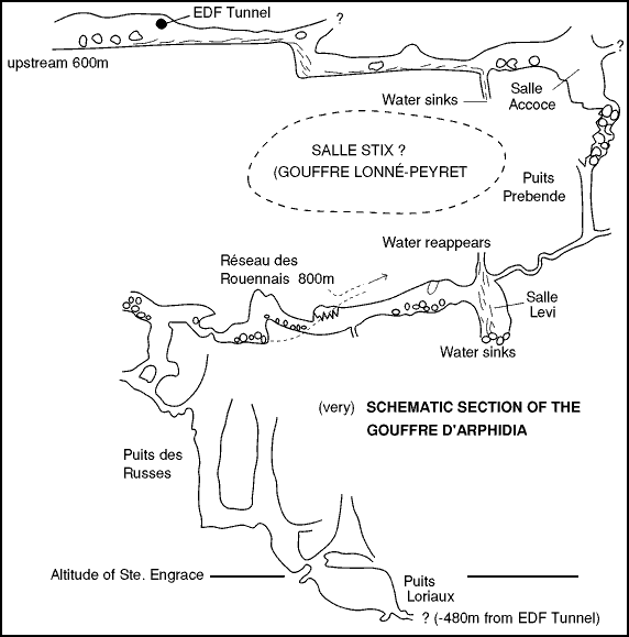 Arphidia schematic - 12k png