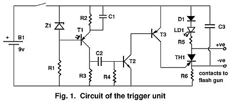 fig.1 - 5k gif