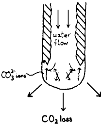 fig.5: 3k gif